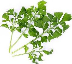 Zdjęcie Veritable Wkład Nasienny Lingot Warzywa Liściowe Rukiew Wodna - Grodzisk Wielkopolski