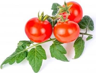 Veritable Wkład Nasienny Lingot Mini Warzywa Pomidorki Koktajlowe