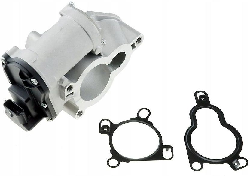 NTY EGR-PL-005 Valvola EGR senza radiatore EGR, elettrico