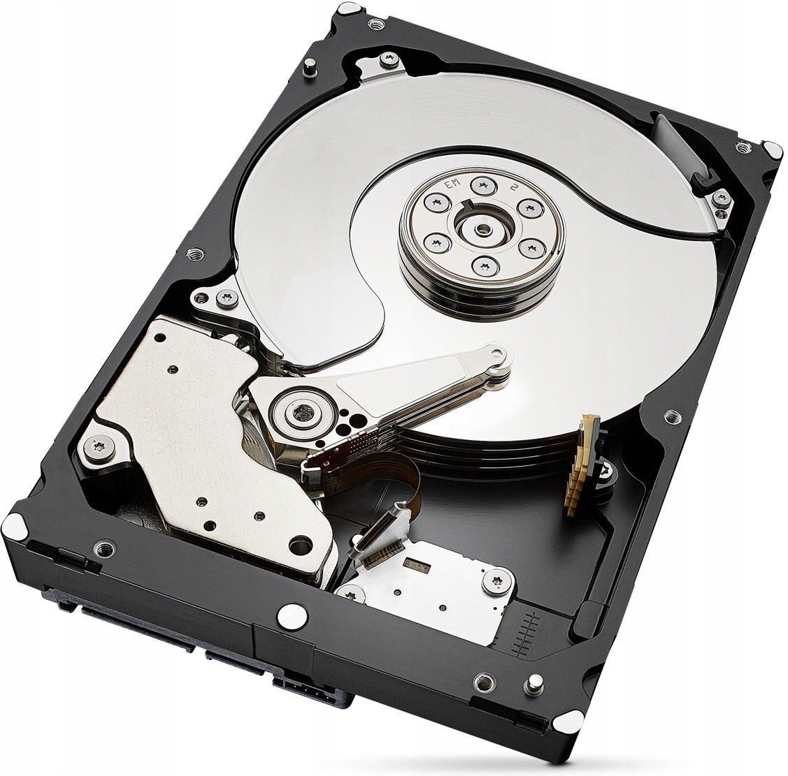 Dysk twardy Seagate IronWolf 6TB SATA 6 Gb/s (ST6000VN001) - Opinie i ceny  na Ceneo.pl