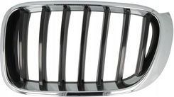 Zdjęcie ATRAPA L BMW X3, X4 04.14-05.18 6502-07-00939933P - Dębno