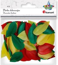 Zdjęcie Titatnum Kreatywne Piórka Titanum Czerwone Zielone Żółte 4G - Chojna