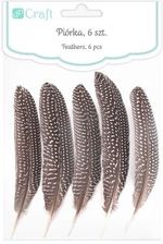 Zdjęcie Dalprint Pióra Bażanta Dpcraft 18-20Cm 5Szt. - Supraśl