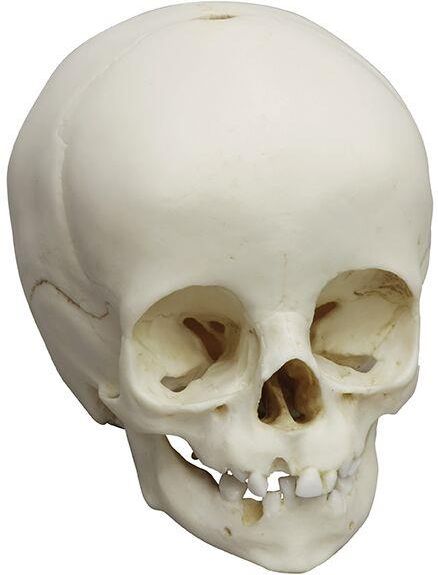 B●scientifica　306-14-4 D45029900 Czujnik układu chłodzenia - sklep rolniczy Korbanek