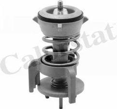 Calorstat TH6847.92J Thermostat D'Eau Thermostat Mercure