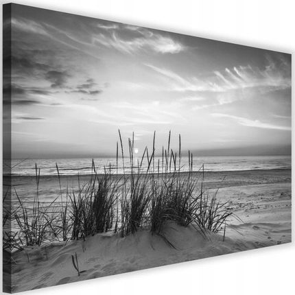 Obraz drukowany 60x40 czarno biały pejzaż morze