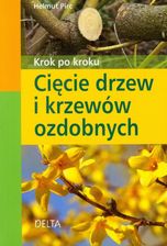 Zdjęcie Cięcie drzew i krzewów ozdobnych - Niemodlin