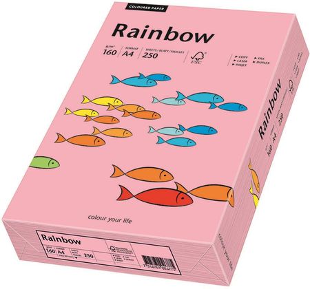 Rainbow Papier Ksero A4 160G Nr 55 Różowy