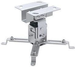 TECHLY ICA-PM 2S SUFIT/PUŁAP SREBRNY UCHWYT DO MONTAŻU PROJEKTORA