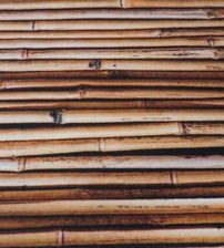 Zdjęcie KOMFORT BAMBUS HD - Witkowo