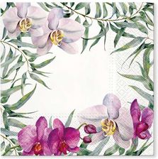 Zdjęcie Paw Serwetki Kwitnąca Orchidea Paw 33Cm 20Szt - Chojnice
