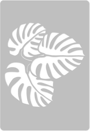 monstera amazonica Monstera obliqua 'Amazonas B' main image 0