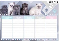 Zdjęcie Starpak Plan Lekcji Cuties 409085 - Rydułtowy