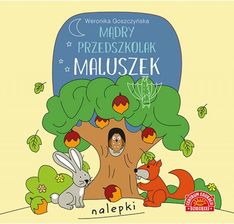 Zdjęcie Mądry Przedszkolak. Maluszek. Książeczka Z Nalepkami  - Bełchatów