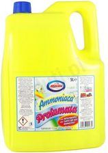 Zdjęcie Amacasa - Amoniak Perfumowany Kanister (5 L) - Swarzędz