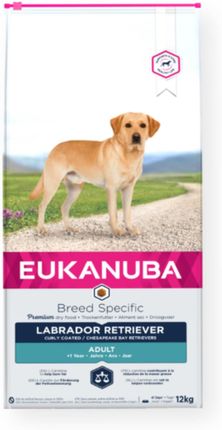 Eukanuba Breed Specific Sucha karma dla dorosłych psów rasy labrador retriever 2x12Kg