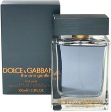 dolce and gabbana the one gentleman