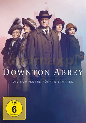 Downton Abbey Season 5 [4DVD]