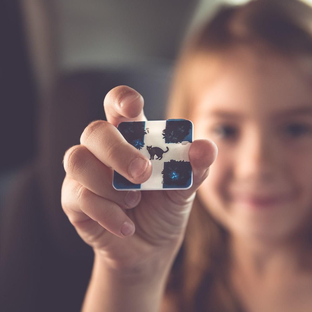 Acrylic Magnetic Puzzle Game at ₹ 130/piece in New Delhi | ID