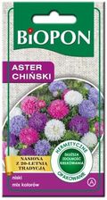 Zdjęcie Biopon Aster chiński karłowy mix kolorów 1g - Biała Podlaska