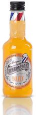 Beardburys Daily Szampon Do Codziennej Pielęgnacji 100 ml