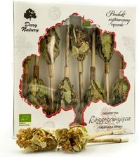 Zdjęcie Dary Natury Herbatka Na Patyku Rozgrzewająca Eko 2X6G - Buk