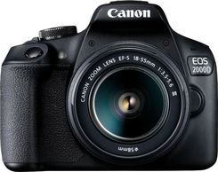 Zdjęcie Canon EOS 2000D + EF-S 18-55mm f/3,5-5,6 DC III - Nidzica