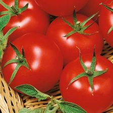 Kiepenkerl Pomidor 'Harzfeuer' F1 Wczesny