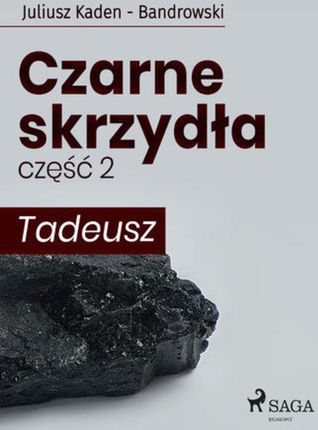 Czarne skrzydła 2 - Tadeusz (EPUB)