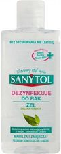 Zdjęcie Sanytol Żel Dezynfekujący Do Rąk Zielona Herbata 75 Ml - Radziejów