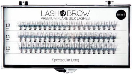 Lash Brow premium flare silk lashes rzęsy w kępkach Spectacular long