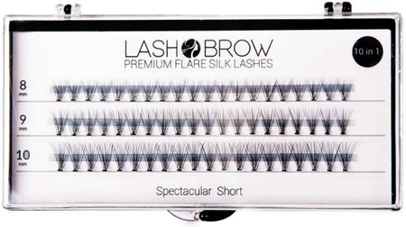 Lash Brow premium flare silk lashes rzęsy w kępkach Spectacular short