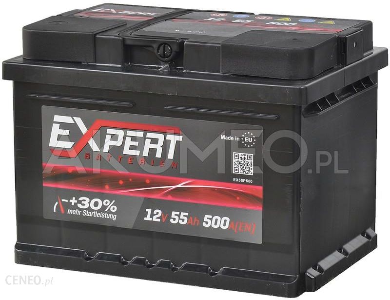  Expert Batterien 12V 55Ah 500A prawy+