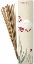 Zdjęcie Esteban Paris Perfums Esprit De The Incense Kadzidełka 30g - Nowy Wiśnicz