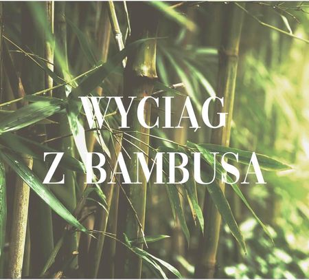 Alfaparf Il Salone Szampon Do Włosów Suchych 1L - zdjęcie 2