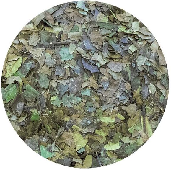 Guayusa Pachamama 500g - zdjęcie 1 Guayusa Pachamama 500g