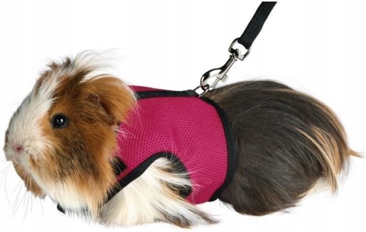 Prodotti Trixie Per Piccoli Animali | Acquisti Online Su