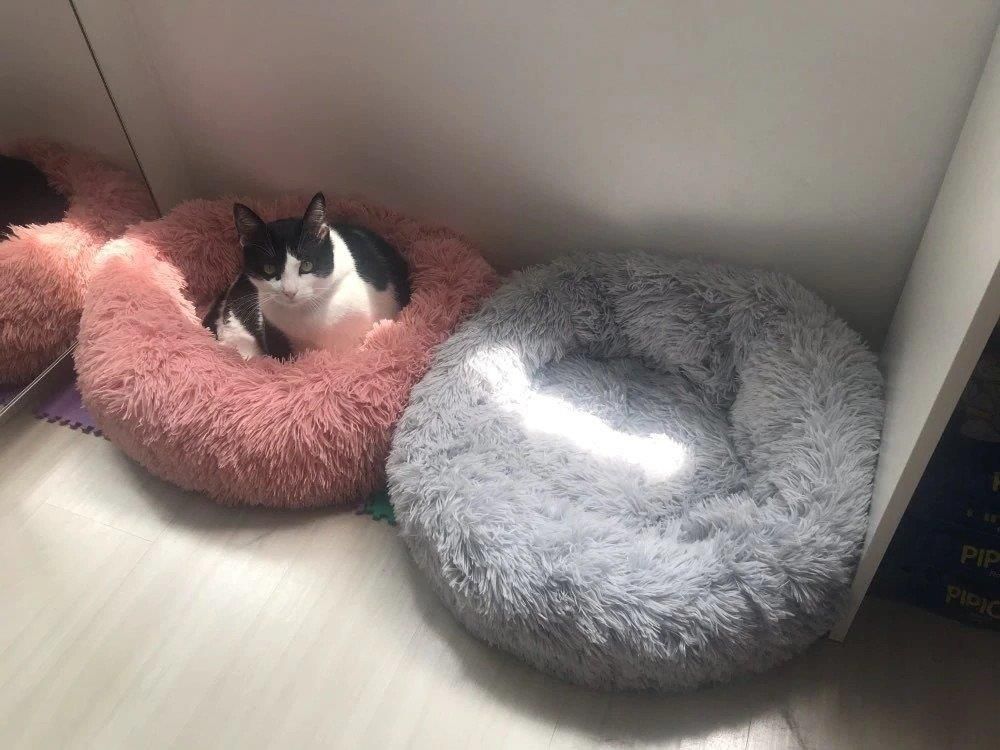 Unizoo Legowisko Dla Psa I Kota Pluszowe M 60Cm Ciepłe Bladoróżowe - zdjęcie 10 Unizoo Legowisko Dla Psa I Kota Pluszowe M 60Cm Ciepłe Bladoróżowe