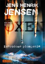 Zdjęcie Zamrożone płomienie. Trylogia OXEN. cz. 3 (e-Book) - Bielsko-Biała