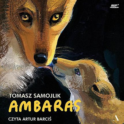 Ambaras (Audiobook)
