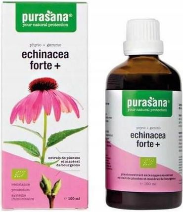 Purasana Echinacea Forte Jeżówka Purpurowa Krople Bio 50 ml