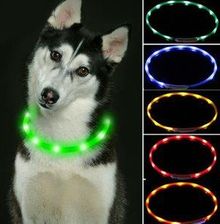 Reedog Easy Light Świecąca Obroża Dla Psów Uni Wielkość