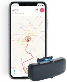 Tractive Gps Tracker Gps Lokalizator Dla Psów I Monitor Aktywności