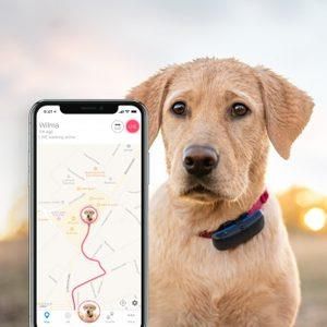 Tractive Gps Tracker Gps Lokalizator Dla Psów I Monitor Aktywności