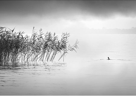 DEKORIA OBRAZ NA PŁÓTNIE BY THE LAKE II 100 X 70 CM