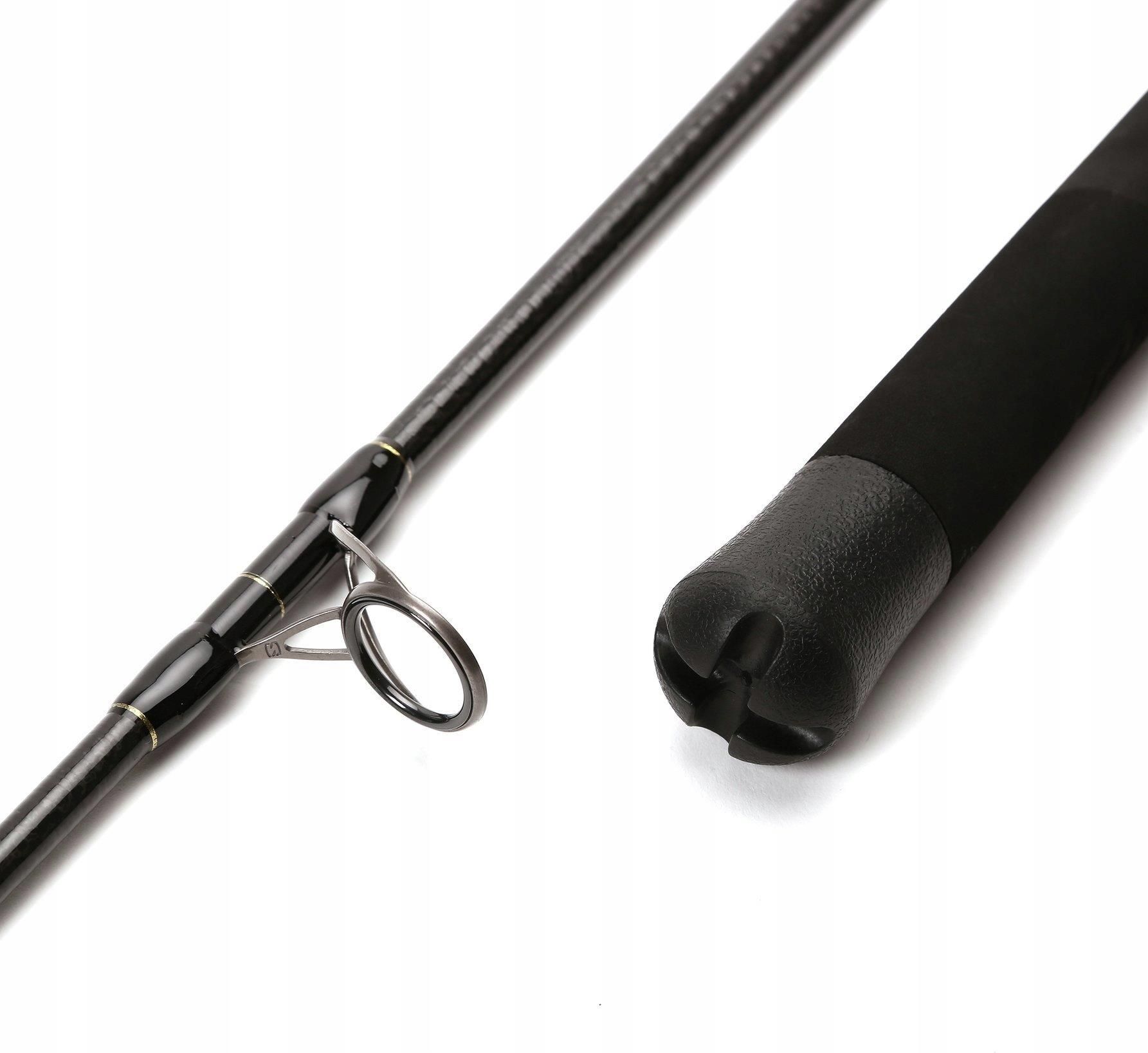 Canne à Pêche Daiwa BG Popper 2,30m 40-150g - Cannne Pour Eau Salée (Popperrute)