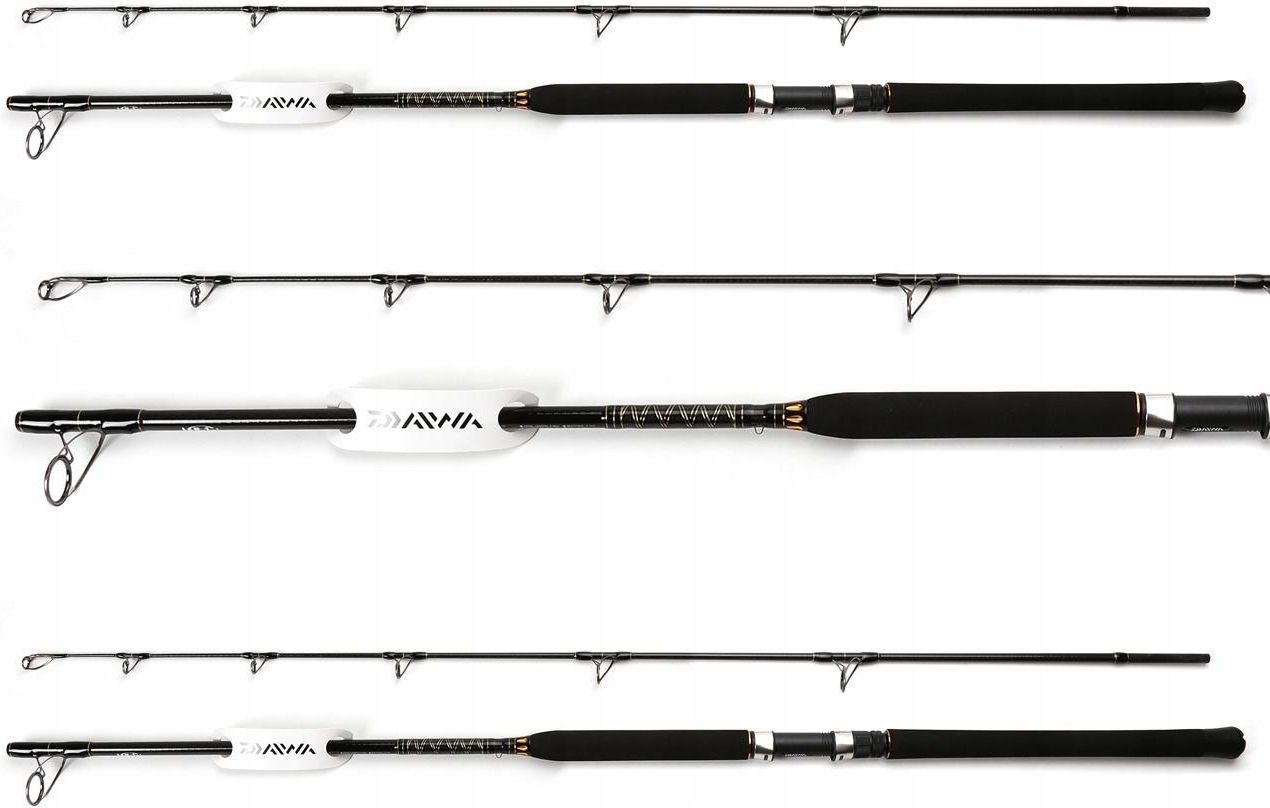 Canne à Lancer Daiwa BG Popper 2,30m 40-150g Pour Pêche En Eau Salée