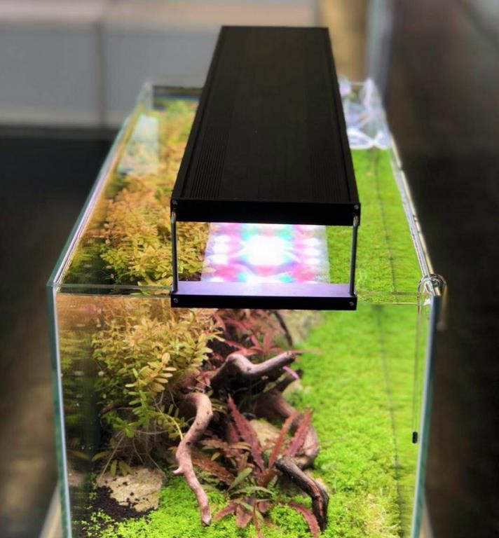 中古　Chihiros（チヒロズ） LED WRGB2 60 楽天市場】chihiros wrgb2 60の通販