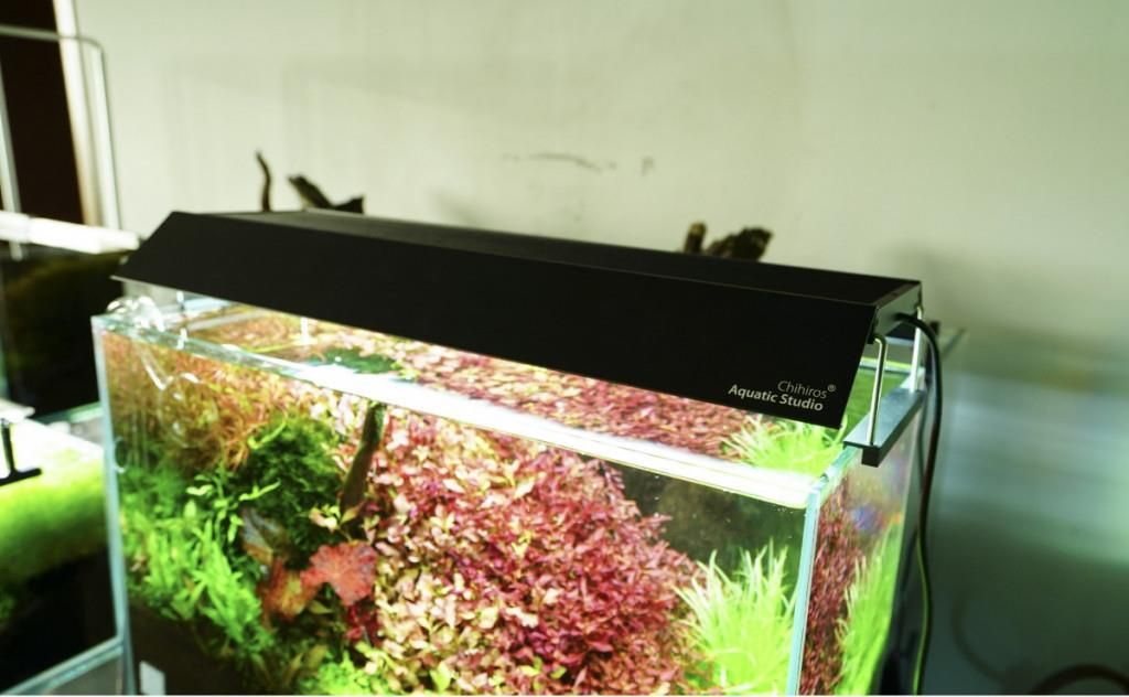チヒロス　Chihiros WRGB2 30　シェード付 Chihiros LED WRGB2 SLIM30 ブラック RGBライト 調光機能付き