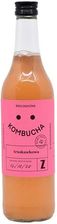 Zdjęcie ZAKWASOWNIA KOMBUCHA TRUSKAWKOWA BIO 500ml - Wleń